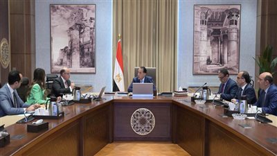 رئيس الوزراء يلتقي رئيس هيئة الرقابة المالية