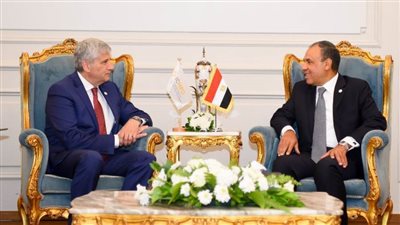 وزير الخارجية :الحكومة المصرية تولي أهمية لتشجيع مسارات الهجرة النظامية 