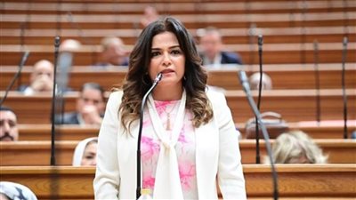 سياحة النواب: زيارة ماكرون لمصر دعاية سياحية مجانية يجب استغلالها