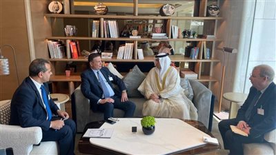 وزير الزراعة يبحث سبل تعزيز الفرص الاستثمارية في مصر مع رئيس الهيئة العربية للاستثمار