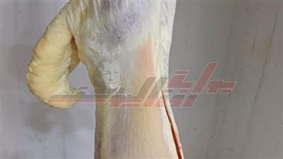 ضبط 358 كجم لحوم غير صالحة بكفر الشيخ  