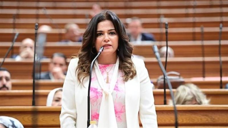 النائبة سحر طلعت