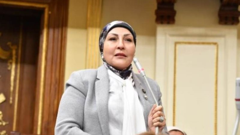 النائبة الدكتورة