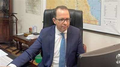 مندوب مصر لدى الاتحاد الإفريقي: ندعم للجهود القارية الرامية إلى تسوية النزاعات