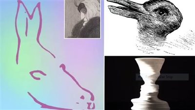 عاجل.. هل ترى بطة أم أرنبًا؟ يكشف العلماء ما يكشفه جوابك عن الوهم البصري