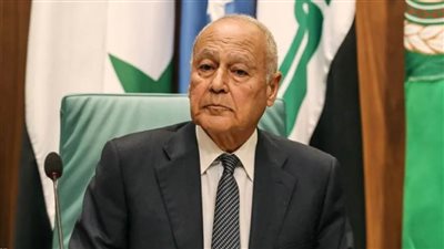 أبو الغيط أمام الاجتماع الوزاري 