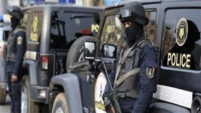 الداخلية تكشف ملابسات فيديو لتعدي شخص على دابة بالجيزة وتشاجر سيدة أجنبية معه