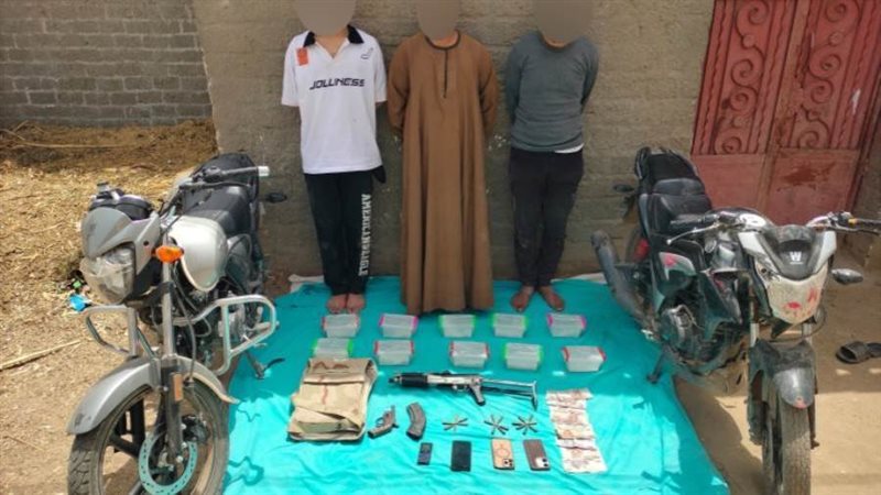 العناصر الاجرامية