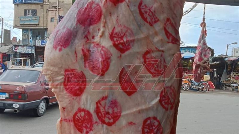 اللحوم المضبوطة