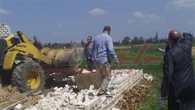 إزالة التعديات على الأراضي الزراعية بسد خميس 