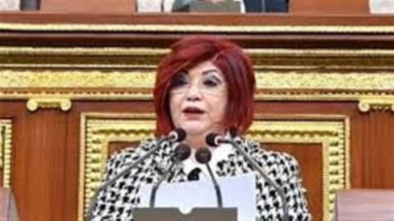 النائبة نورا علي