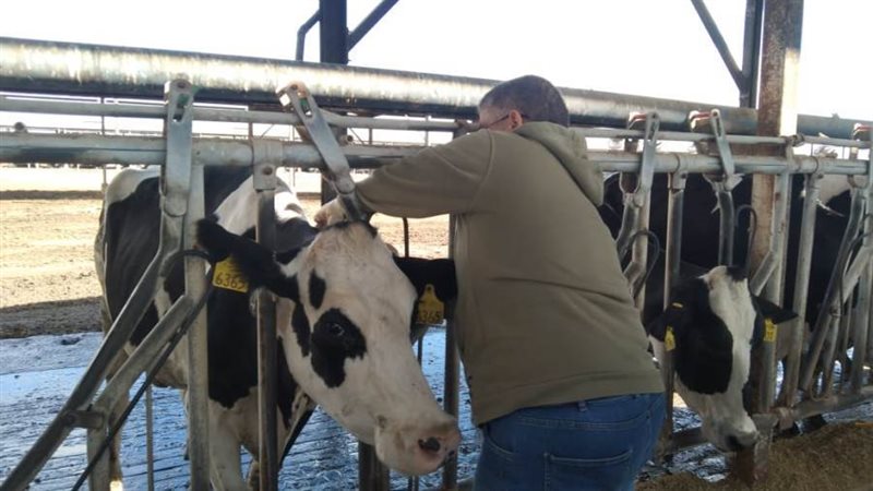 جانب من حملات التحصين