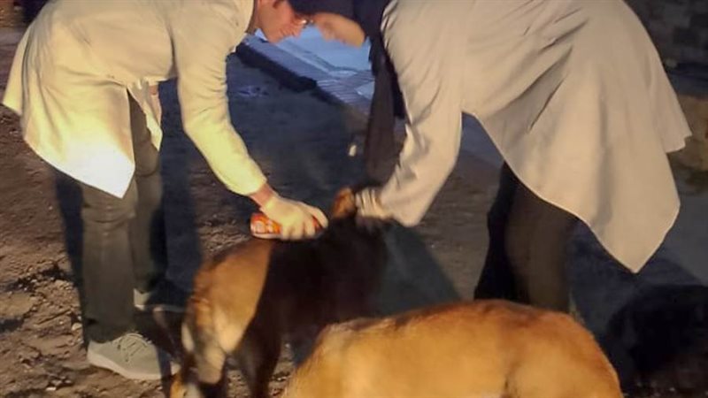 محافظة الإسكندرية