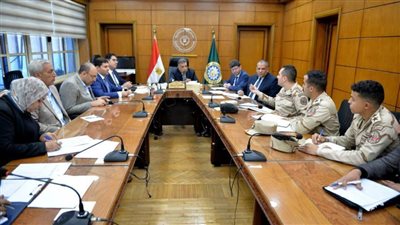 محافظ الدقهلية يناقش موقف مشروعات مبادرة 