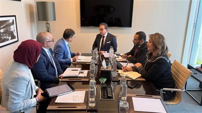وزير الصحة يبحث مع وفد منظمة «UNIDO» لتعزيز التعاون في تنمية صناعة الأدوية واللقاحات