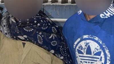 كشف ملابسات تداول مقطع فيديو بقيام شخصين بتعذيب دابة بالقاهرة 