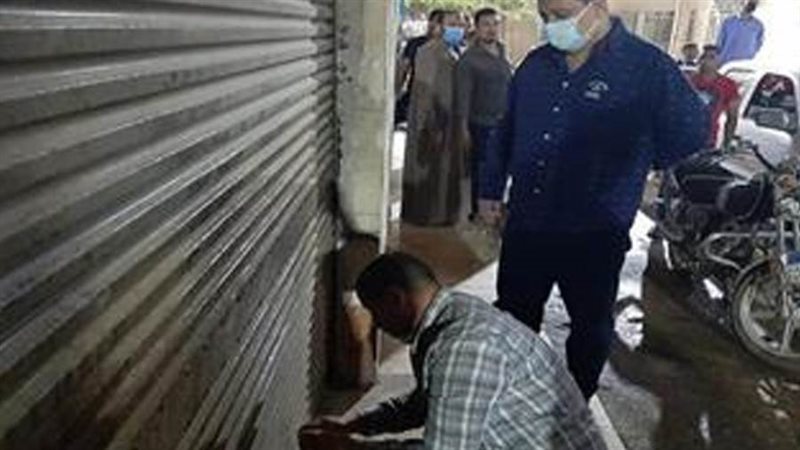 بوابة روز اليوسف