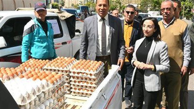 بالتزامن مع قرب شم النسيم.. محافظ البحيرة تتفقد قافلة لبيع 