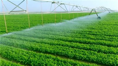 71% زيادة في صافي قيمة الدخل الزراعي 2022/2023