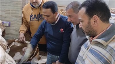 ضبط 14.5 طن فسيخ ورنجة غير صالحة للاستهلاك بالدقهلية