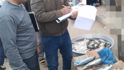  غلق 26 منشأة وإعدام 225 كيلو أسماك فاسدة بحملة مكبرة بالبحيرة