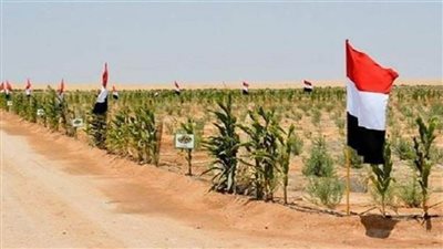 خبراء استراتيجيون: الدولة المصرية ترفع شعار 