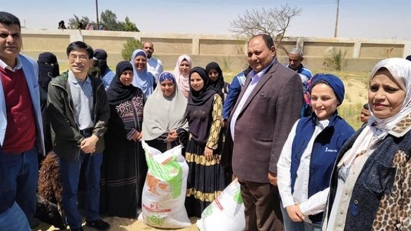 مشروعات الاستثمارات