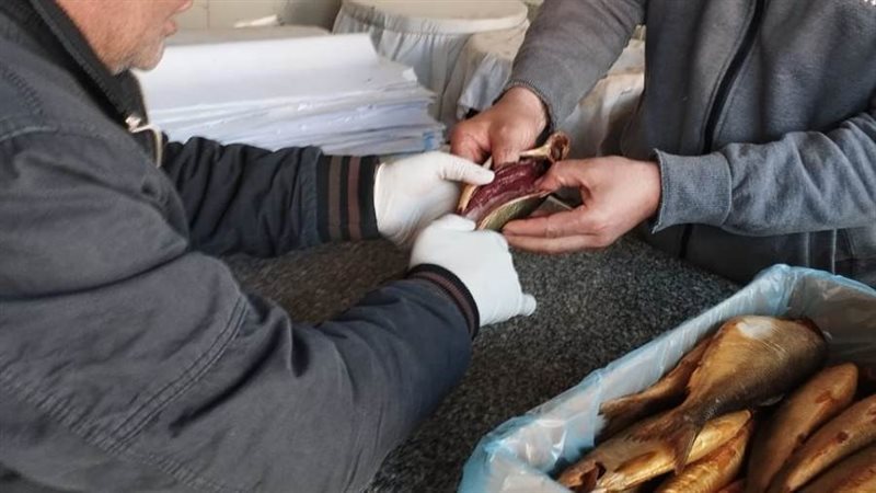 جانب من حملات الطب