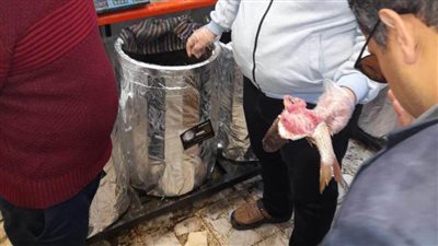 تموين الإسكندرية يشن حملات لأسواق الأسماك المملحة