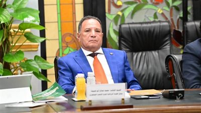 برلمانية «الشعب الجمهوري»: استبدال الرسوم الحكومية بضريبة موحدة يخفف الأعباء المالية على المستثمرين