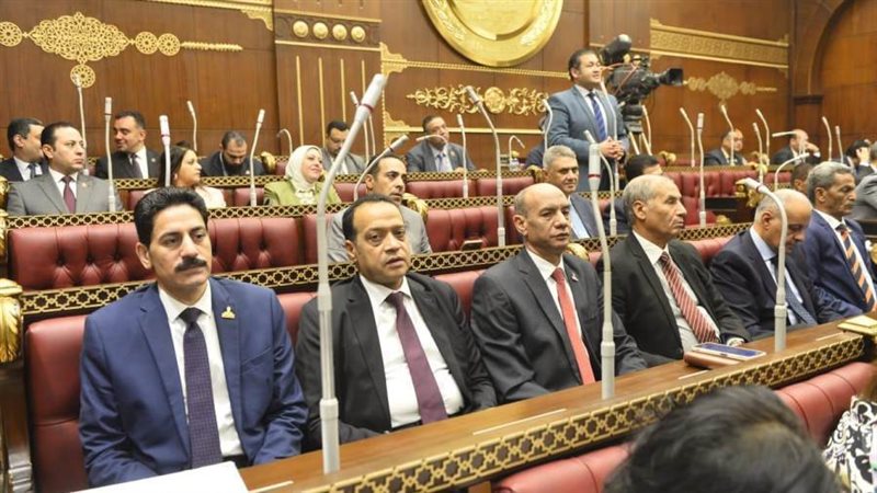 النائب خالد ابو الوفا