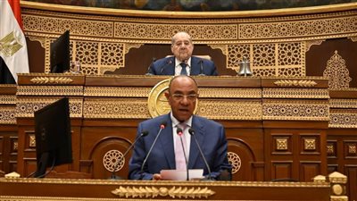 رئيس مجلس الشيوخ يفتتح الجلسة العامة لمناقشة تطوير شركات قطاع الأعمال