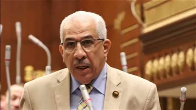 رئيس طاقة الشيوخ: إجراءات الدولة للحوكمة استثمار اقتصادي ومحرك فاعل للتنمية