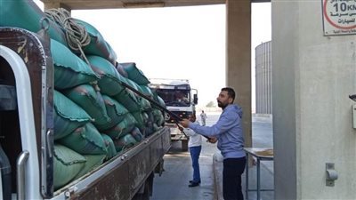 استقبال 25845 طناً و207 كيلوجرامات من القمح بالشون والصوامع بالمنيا