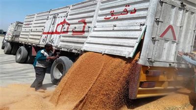      محافظ أسوان: توريد 40 ألفًا و 768 طنًا من القمح بالصوامع والشون والبناكر