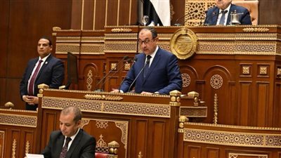 وزير قطاع الأعمال العام يستعرض استراتيجية عمل الوزارة لتطوير الشركات التابعة  أمام الجلسة العامة لمجلس الشيوخ