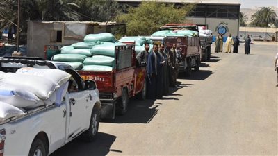 محافظ أسيوط: توريد 9356 طنًا من حصاد القمح للشون والصوامع