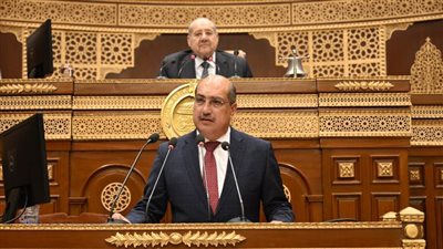 رئيس برلمانية «الشعب الجمهوري» بالشيوخ: المشروعات العملاقة نجحت في الحد من أزمات الأمن الغذائي
