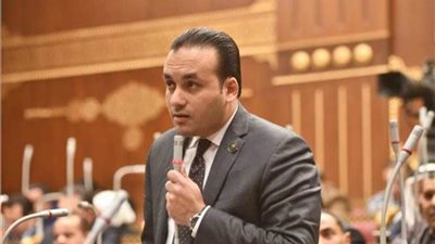 النائب عمرو فهمي ينتقد غياب التنسيق الحكومي في شأن الملف الزراعي