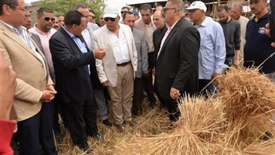 محافظ الدقهلية يعلن انطلاق موسم حصاد القمح للعام الزراعي 2025