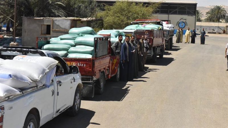 توريد القمح