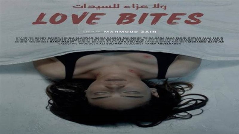 فيلم ولا عزاء للسيدات