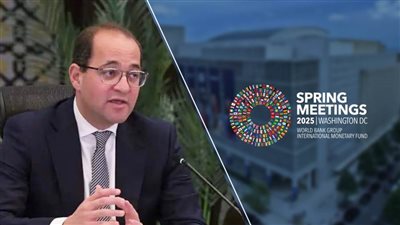 وزير المالية : تعظيم فرص التبادل التجارى والاستثمارى بين مصر وبولندا بعدد من القطاعات 