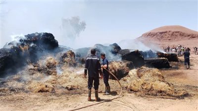 اشتعال النيران في أجران لمحصول القمح في الوادي الجديد