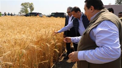 وزير الزراعة يوجه بخفض تكاليف معدات الحصاد لمزارعي القمح