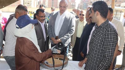 محافظ القليوبية: محصول القمح مبشر وإنتاجية الفدان تتجاوز التوقعات