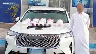 ضبط عنصر جنائي خطر بحوزته مخدرات بقيمة مالية بلغت 10 ملايين جنيه 
