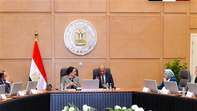 عصمت وفؤاد يبحثان سبل العمل المشترك والتنسيق والتعاون في قضايا البيئة والطاقات المتجددة