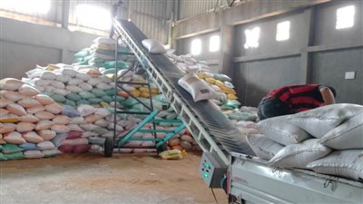 توريد 9203 أطنان قمح محلي فى 36 موقعًا لشون وصوامع  البحيرة 