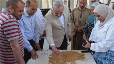 بالصور.. محافظ الغربية خلال تفقد التوريد بشون وصوامع: القمح شريان الأمن القومي